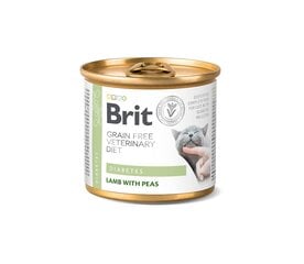 Brit GF Veterinary Diets Diabetes märkäruoka kissoille, 200 g x 12 hinta ja tiedot | Kissanruoka | hobbyhall.fi