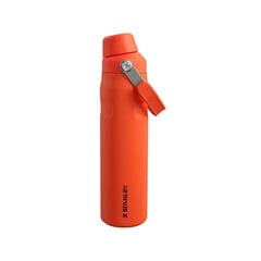 Stanley termospullo The Aerolight Iceflow, 600 ml hinta ja tiedot | Termoskannut ja termosmukit | hobbyhall.fi