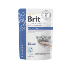 Brit GF Veterinary Diets Recovery kissan märkäruoka nopeampaan palautumiseen, 85g x 12 hinta ja tiedot | Kissanruoka | hobbyhall.fi