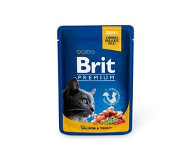 Brit Premium Salmon&Trout kissan märkäruoka, 100g x 12 hinta ja tiedot | Kissanruoka | hobbyhall.fi