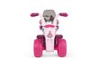 Kolmipyöräinen lasten sähkömoottoripyörä Peg Perego Flower Princess 6V, vaaleanpunainen hinta ja tiedot | Lasten sähköautot | hobbyhall.fi