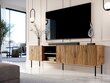 TV-kaappi Cama Meble Jungle, ruskea/musta hinta ja tiedot | TV-tasot | hobbyhall.fi