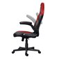 TRUST GXT 703R RIYE ergonominen tuoli hinta ja tiedot | Toimistotuolit | hobbyhall.fi