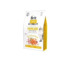 Brit Care Cat GF Haircare kissan kuivaruoka, 2 kg hinta ja tiedot | Kissan kuivaruoka | hobbyhall.fi