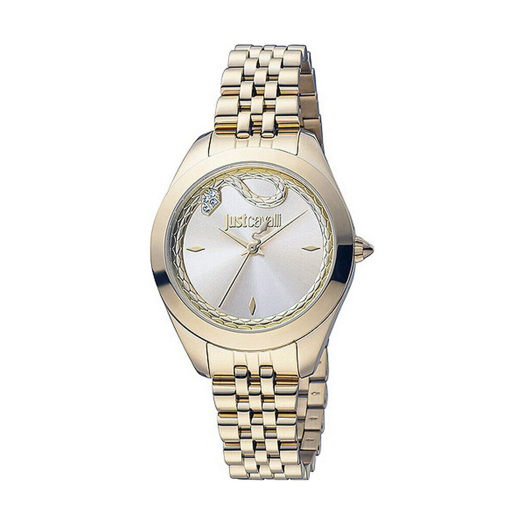 Naisten kello Just Cavalli SNAKE (32 mm) hinta ja tiedot | Naisten kellot | hobbyhall.fi
