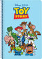 Muistikirja Toy Story A4, 80 arkkia hinta ja tiedot | Vihkot, muistikirjat ja paperit | hobbyhall.fi