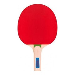 Pöytätennismailojen ja -pallojen sarja Atipick RQP40403 hinta ja tiedot | Pingismailat | hobbyhall.fi