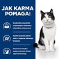 Hill's PD I/D Digestive Care suaugusioms katėms su vištiena, 3 kg hinta ja tiedot | Kissan kuivaruoka | hobbyhall.fi