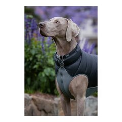 TicWatch Puffer koiran takki, harmaa, 55 cm hinta ja tiedot | TicWatch Tietokoneen lisälaitteet | hobbyhall.fi