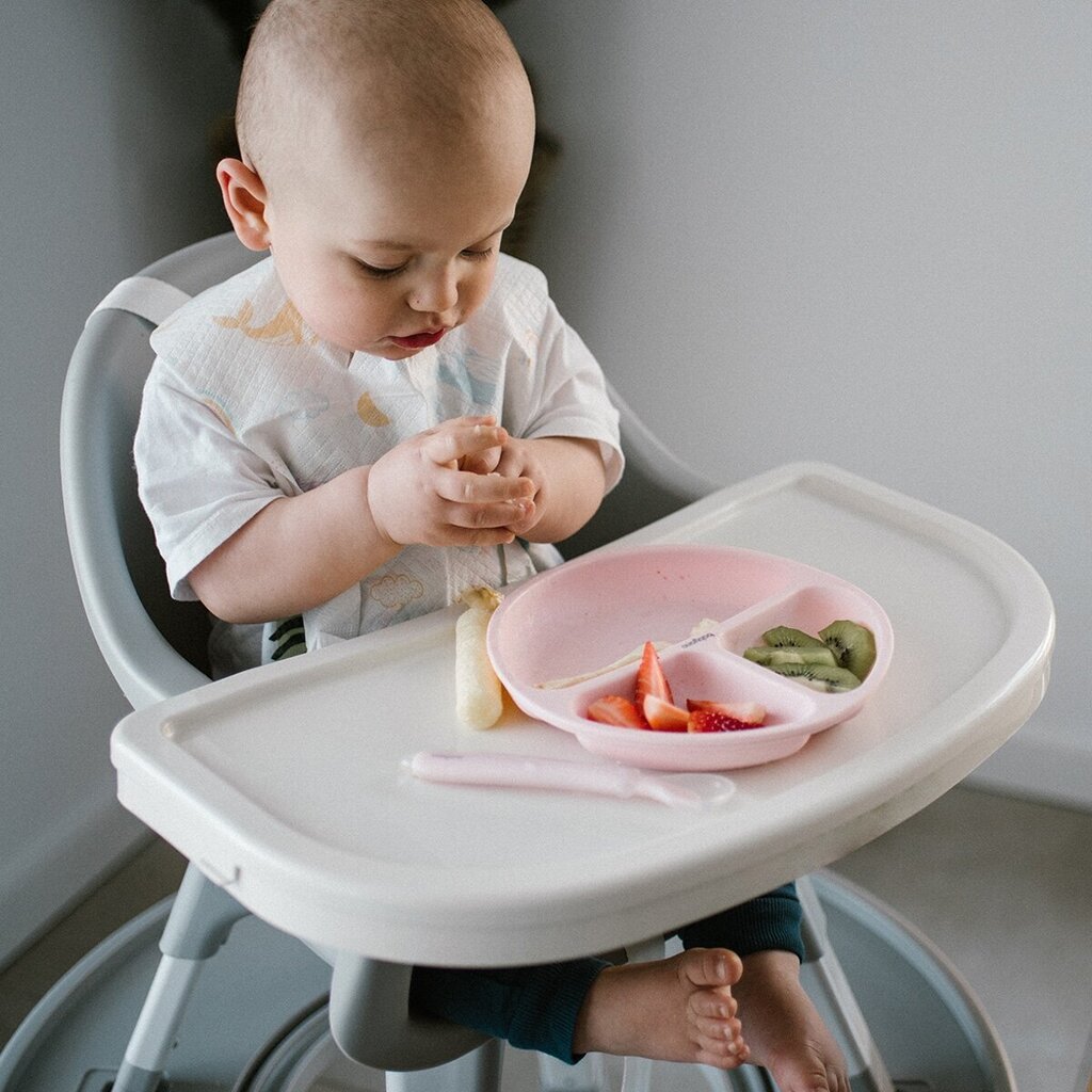 Neslystanti lėkštutė BabyOno 1482/02, rožinė hinta ja tiedot | Vauvan ja lasten astiat | hobbyhall.fi