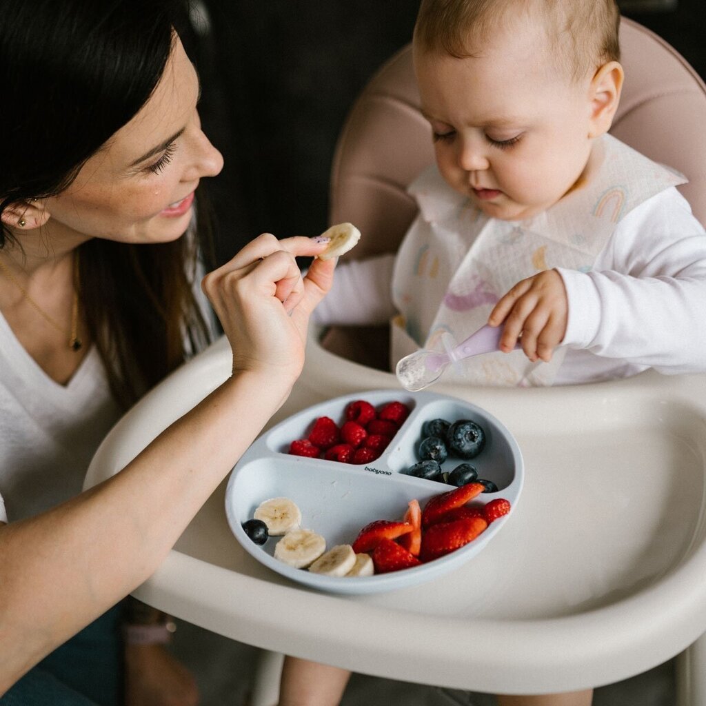 Liukumaton lautanen BabyOno 1482/01, sininen hinta ja tiedot | Vauvan ja lasten astiat | hobbyhall.fi