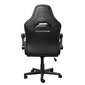 Ergonominen tuoli Trust Gaming GXT 703 Riye, musta hinta ja tiedot | Toimistotuolit | hobbyhall.fi