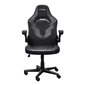 Ergonominen tuoli Trust Gaming GXT 703 Riye, musta hinta ja tiedot | Toimistotuolit | hobbyhall.fi