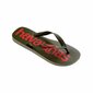 Naisten rantatossut Havaianas Top Logomania S6455038 hinta ja tiedot | Naisten sandaalit ja tossut | hobbyhall.fi