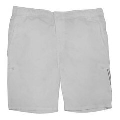 Miesten urheilushortsit Nike S6400309 hinta ja tiedot | Miesten urheiluvaatteet | hobbyhall.fi