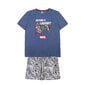 Pyjama Marvel S0731858, eri värejä hinta ja tiedot | Miesten kylpytakit ja pyjamat | hobbyhall.fi