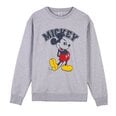 Mickey Mouse Miesten puserot ja hupparit internetistä