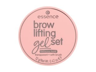 Essence Brow Lifting Gel Set 12 ml hinta ja tiedot | Silmämeikit | hobbyhall.fi