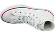 Lasten kengät Converse Chuck Taylor All Star Jr 3J253C, 56625 hinta ja tiedot | Lasten urheilukengät | hobbyhall.fi