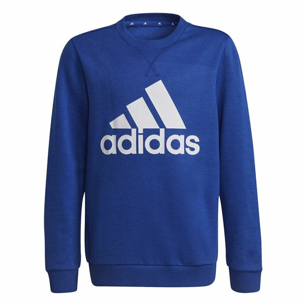 Lasten neule Adidas Essentials Big Logo S6434065 hinta ja tiedot | Poikien puserot, liivit ja jakut | hobbyhall.fi