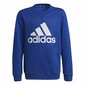 Lasten neule Adidas Essentials Big Logo S6434065 hinta ja tiedot | Poikien puserot, liivit ja jakut | hobbyhall.fi