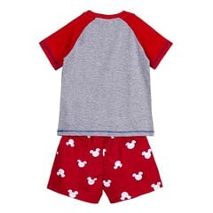 Lasten pyjamat Mikki Hiiri, punainen hinta ja tiedot | Tyttöjen kylpytakit ja pyjamat | hobbyhall.fi