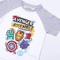 Lasten pyjamat The Avengers, harmaa hinta ja tiedot | Poikien kylpytakit ja pyjamat | hobbyhall.fi