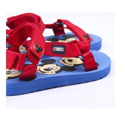 Lasten sandaalit Mikki Hiiri, sininen hinta ja tiedot | Lasten sandaalit | hobbyhall.fi