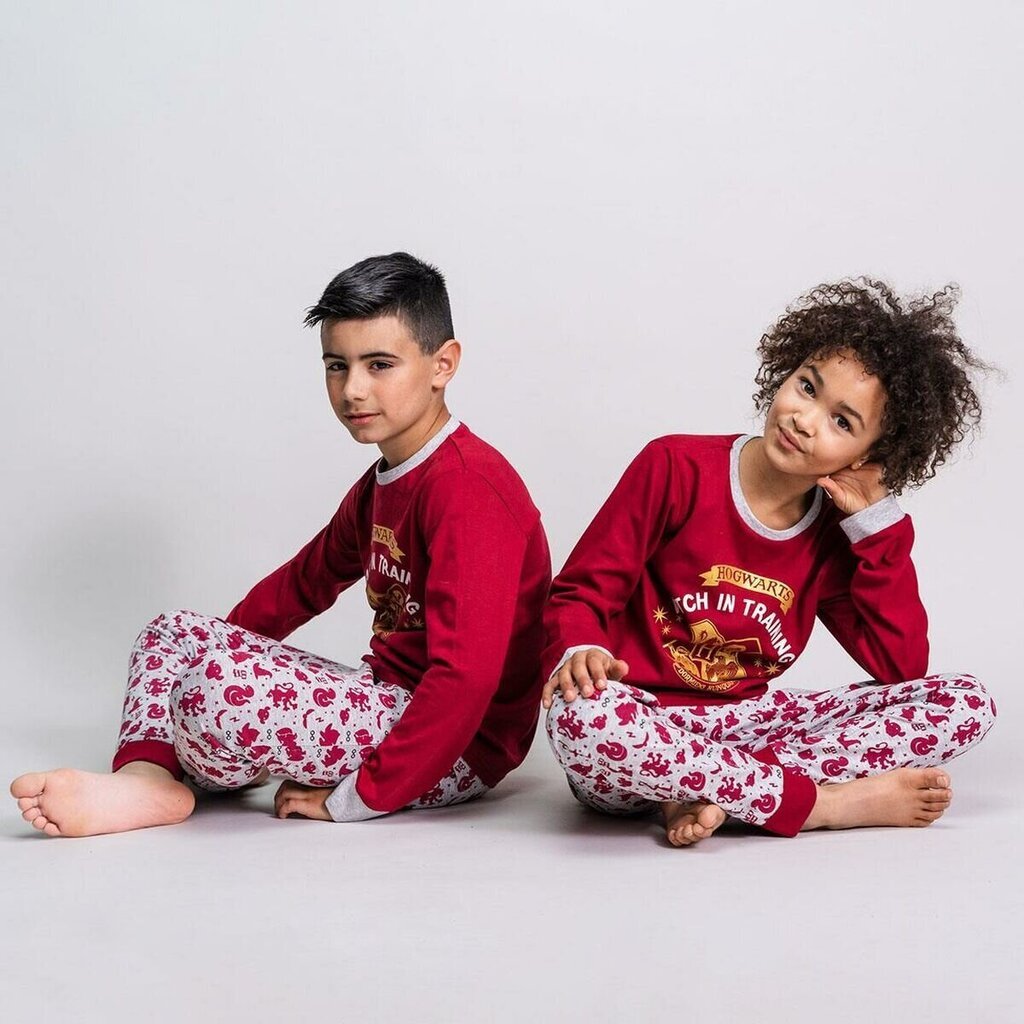 Lasten pyjamat Harry Potter hinta ja tiedot | Poikien kylpytakit ja pyjamat | hobbyhall.fi