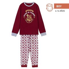 Lasten pyjamat Harry Potter hinta ja tiedot | Poikien kylpytakit ja pyjamat | hobbyhall.fi
