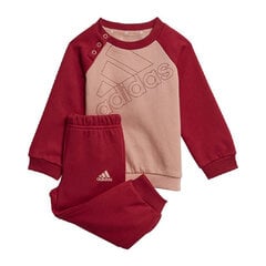 Vauvan urheiluvaatteet Adidas Essentials -logo hinta ja tiedot | Vauvanvaatesetit | hobbyhall.fi