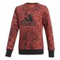 Lasten neule Adidas YG Crew Swea hinta ja tiedot | Poikien puserot, liivit ja jakut | hobbyhall.fi