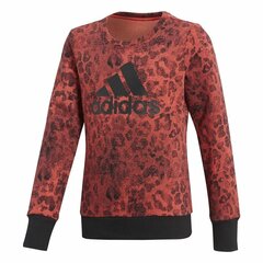 Lasten neule Adidas YG Crew Swea hinta ja tiedot | Poikien puserot, liivit ja jakut | hobbyhall.fi