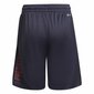 Adidas urheilushortsit lapsille Predator hinta ja tiedot | Poikien shortsit | hobbyhall.fi