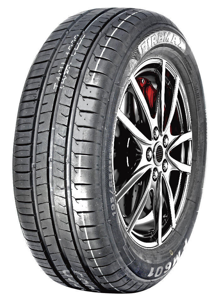 Firemax FM601 255/30R19 91 W XL hinta ja tiedot | Kesärenkaat | hobbyhall.fi