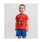 Vaatteet lapsille Spiderman hinta ja tiedot | Vauvanvaatesetit | hobbyhall.fi