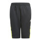 Adidas shortsit lapsille Predator Inspired hinta ja tiedot | Poikien shortsit | hobbyhall.fi