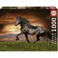 Palapeli Educa Horse, 1000 v. hinta ja tiedot | Palapelit | hobbyhall.fi