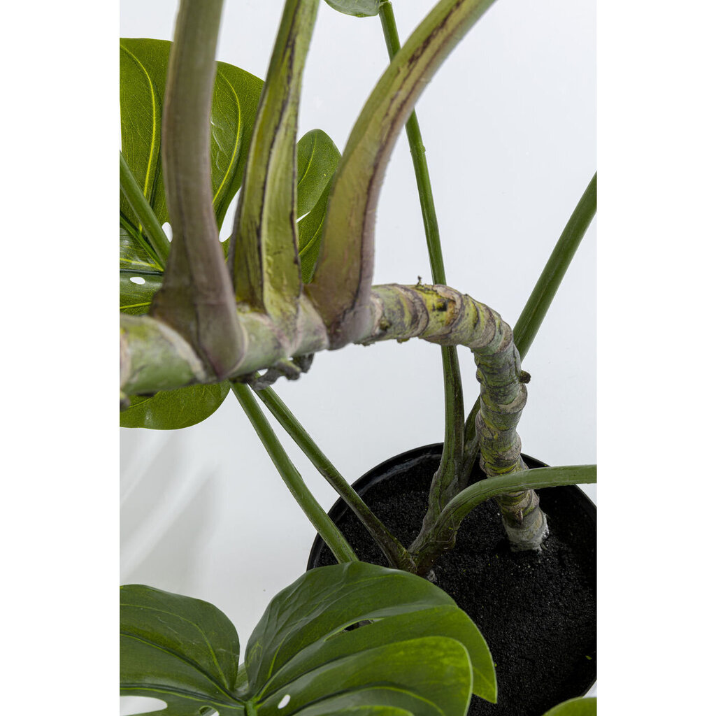 Koristekasvi Monstera hinta ja tiedot | Keinotekoiset kukat | hobbyhall.fi