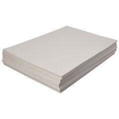 Piirustuspaperi Canson Basik 130 g 250 arkkia (210 x 297 mm) hinta ja tiedot | Vihkot, muistikirjat ja paperit | hobbyhall.fi