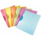 Kansio asiakirjoille Leitz ColorClip Rainbow A4 30 arkkia 6 kpl. hinta ja tiedot | Toimistotarvikkeet | hobbyhall.fi