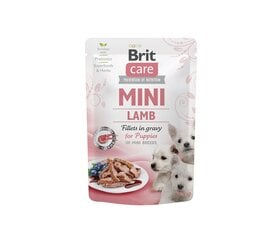 Brit Care Mini Puppy Lampaan fileet kastikkeessa märkäruoassa pienten rotujen pennuille, 85 g x 24 hinta ja tiedot | Koiran märkäruoka | hobbyhall.fi