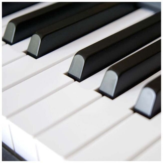 Digitaalinen piano USB Midi Black Blanth BL-8808 BK hinta ja tiedot | Kosketinsoittimet | hobbyhall.fi