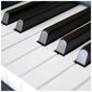 Digitaalinen piano USB Midi Black Blanth BL-8808 BK hinta ja tiedot | Kosketinsoittimet | hobbyhall.fi