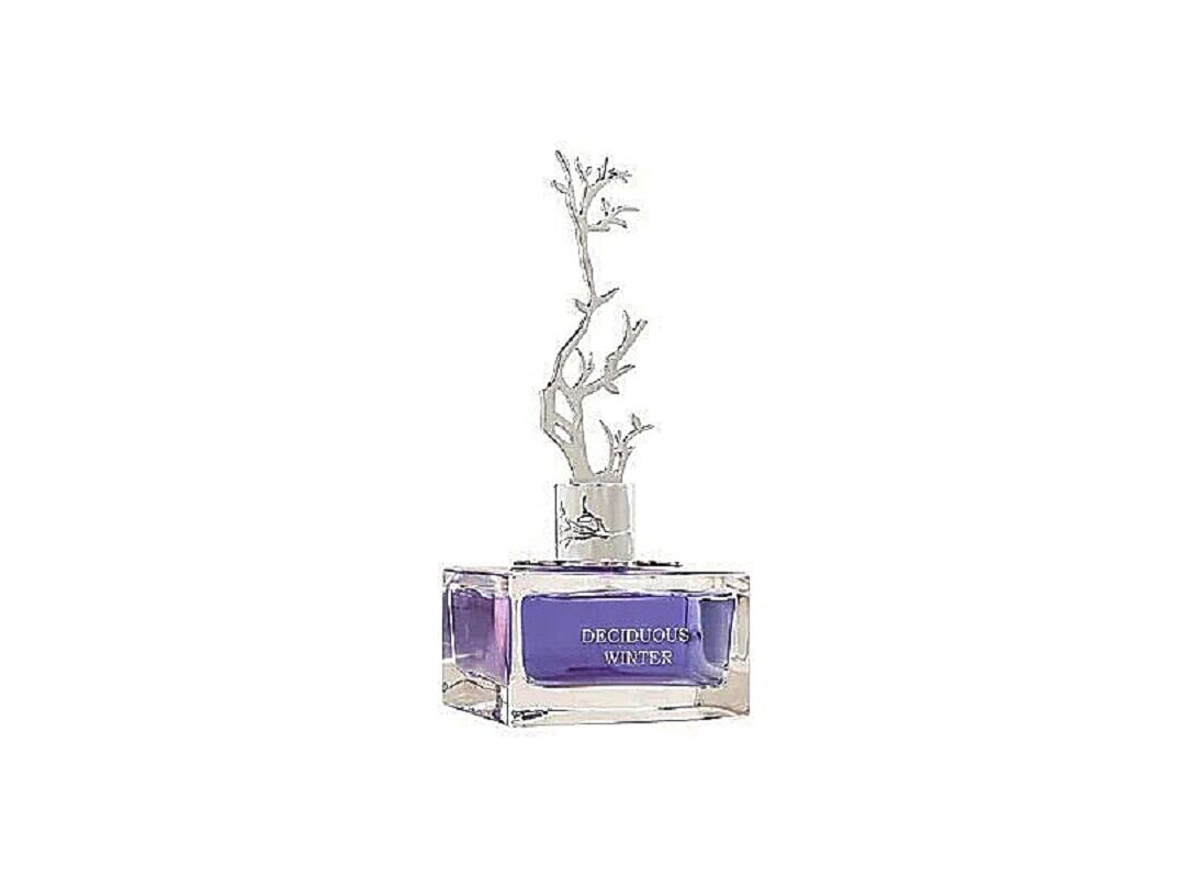 Tuoksuvesi Aurora Scents Deciduous Winter EDP naisille, 100 ml hinta ja tiedot | Naisten hajuvedet | hobbyhall.fi