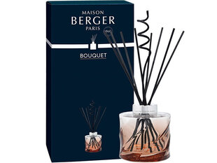 Kotituoksu tikkuilla Maison Berger Paris Spiral Bouquet Reed Diffuser Amber (tuoksuton), 200 ml hinta ja tiedot | Huonetuoksut | hobbyhall.fi