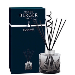 Kotituoksu tikkuilla Maison Berger Paris Spiral Bouquet Reed Diffuser Black (tuoksuton), 222 ml hinta ja tiedot | Huonetuoksut | hobbyhall.fi