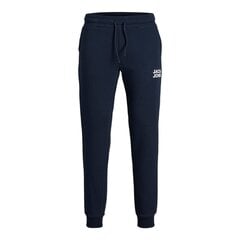 Miesten housut Jack&Jones, sininen hinta ja tiedot | Miesten urheiluvaatteet | hobbyhall.fi