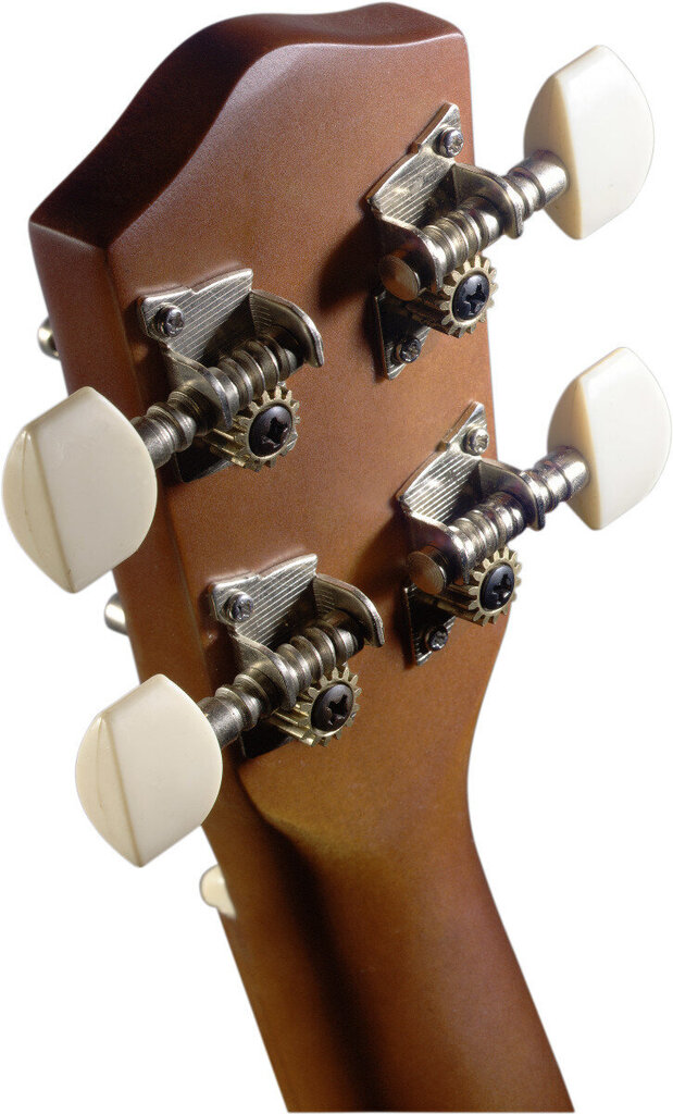Sopraano ukulele + kotelo Stagg US-NAT hinta ja tiedot | Kitarat | hobbyhall.fi