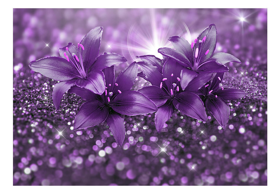 Valokuvatapetti - Masterpiece of Purple 200x140 cm hinta ja tiedot | Valokuvatapetit | hobbyhall.fi